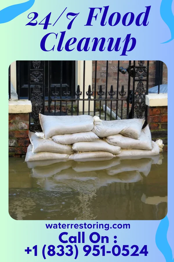 24/7 Flood Cleanup in Mount Olivet, KY