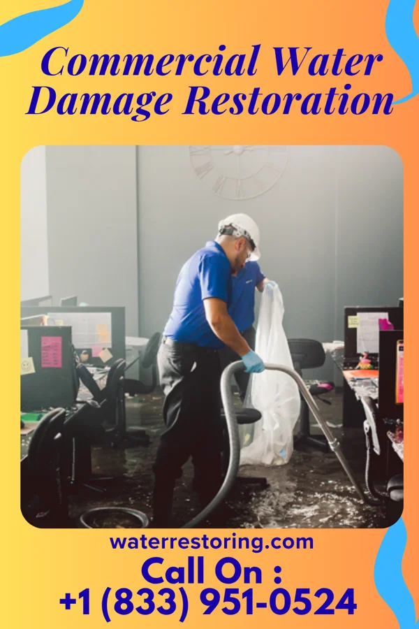 Commercial Water Damage Restoration in Mount Olivet, KY