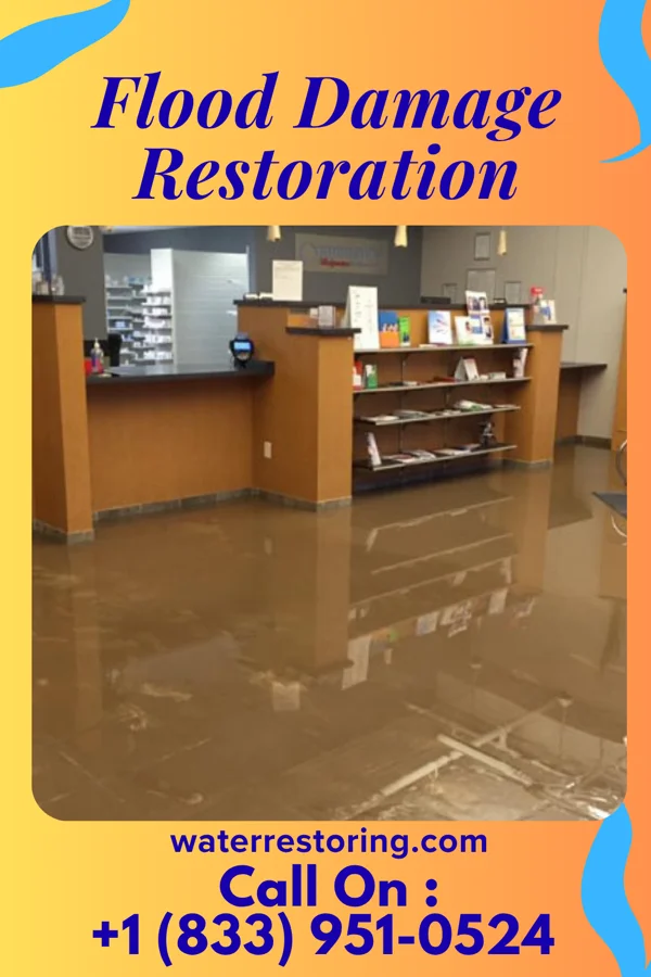 Flood Damage Restoration in Mount Olivet, KY