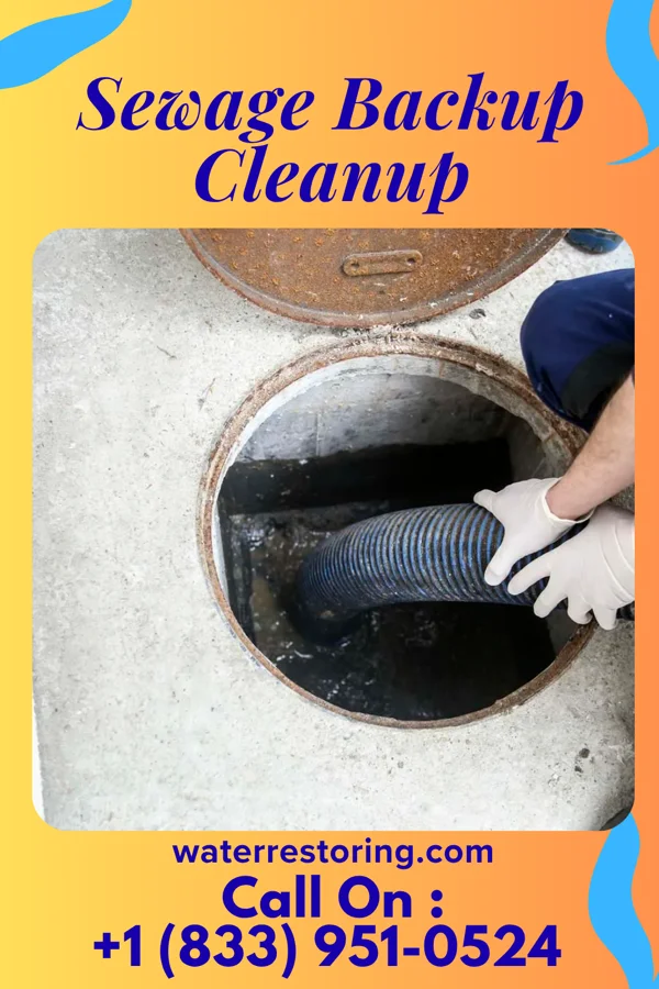 Sewage Backup Cleanup in Mount Olivet, KY
