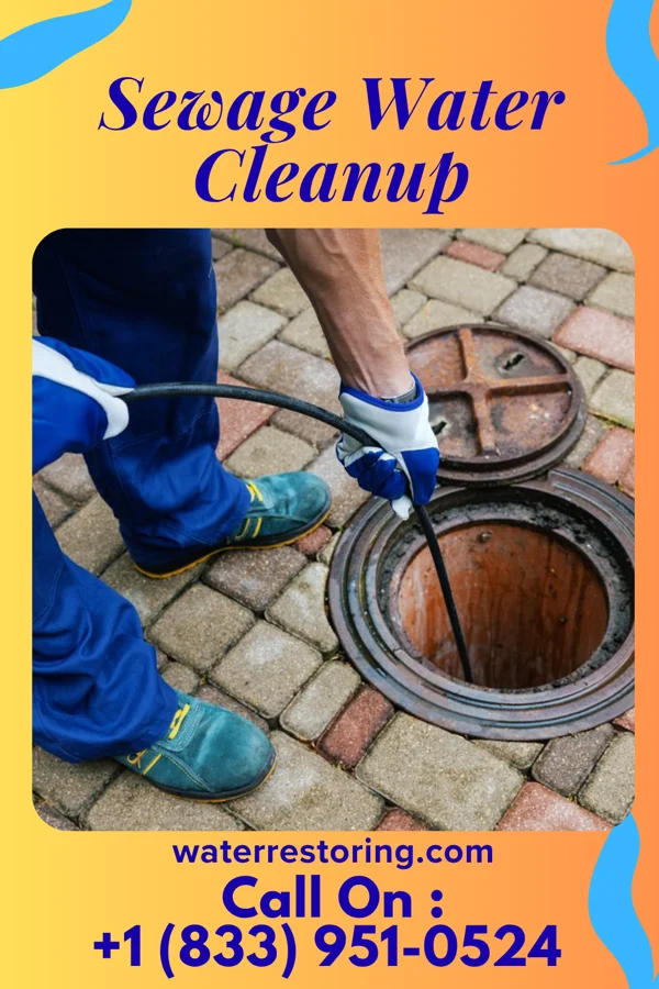 Sewage Water Cleanup in Mount Olivet, KY