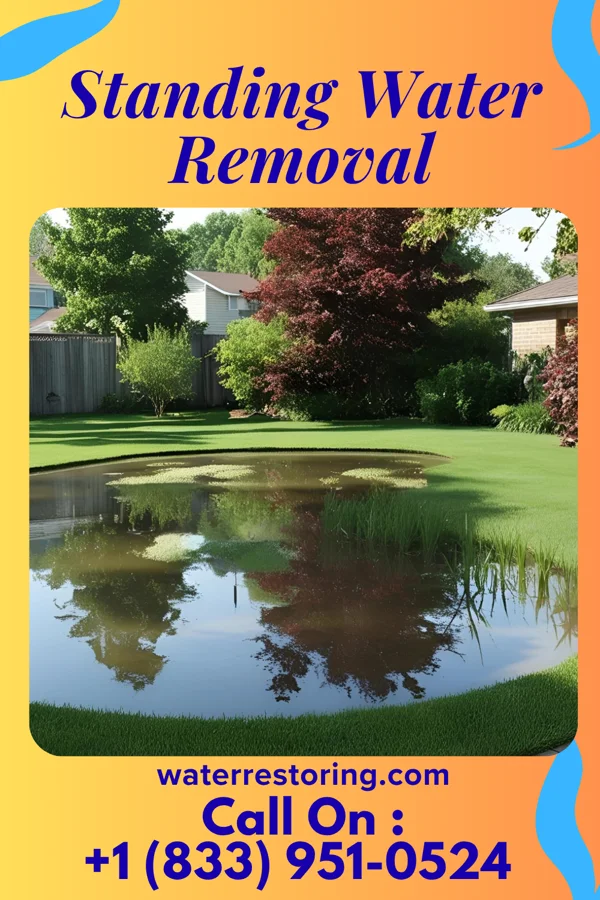 Standing Water Removal in Mount Olivet, KY